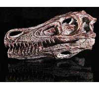 lmoikesz La exquisita decoración de pared con cabeza de calavera añade un toque único al hogar. Modelo calavera dinosaurio. Cabeza dinosaurio. Pared