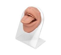 lmoikesz Modelo de simulación de lengua boca en 3D, modelo lengua silicona, herramienta práctica suave y flexible para instrucción joyería, práctica perforación, partes del cuerpo para