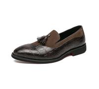 LMUIPMAA Mocasines De Moda para Hombres Casual De Cuero con Borlas Zapatos De Vestir De Negocios,Marrón,45 EU