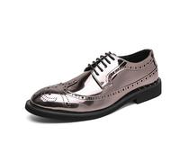 LMUIPMAA Zapatos Oxford De Punta Alada para Hombres Cordones Piel Patentada Brogues Formales para Esmoquin,Plata,40 EU