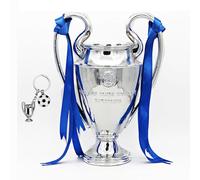 LNGODEHO Trofeo de fútbol campeón europeo, réplica de copa de premio de la liga de San Bernardo en resina, color plateado con cintas azules para equipo de liga de aficionados al deporte (77 cm/30