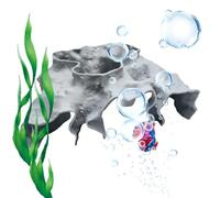 Lnhgh Acuario para Camarones - Realista con Agujero Oculto Peces Betta,Escondites para Pecera - para alimentación, escondite, Descanso, hogar de Descanso, Betta, Agua Dulce, acuático, Submarino y