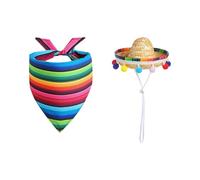 Lnhgh Trajes de Pato Porche, ropa de Pato Porche | 23 Pulgadas s Trajes de Trajes Arco Iris Pato Divertido | Decoración de Patio Vibrante, Traje Festivo para Jardín y Patio