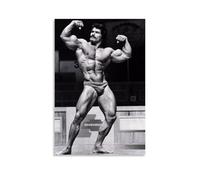 LNLEXTAR Mike Mentzer Póster de culturismo pintura decorativa lienzo arte de pared sala de estar dormitorio pintura, arte de pared impresión de imagen moderna decoración de habitación familiar 24 x 36