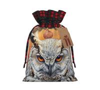 LNNIUK Owl Beliefs - Bolsa de regalo de Navidad reutilizable con cordón para envolver dulces