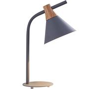 LNNSNE for Living Room Minimalist Metal Bedroom Table Eye Protection Desk Lamps Learning Reading Light Home Bedside Lamp