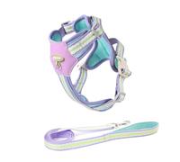 LNOPRPYS Tirantes De Pecho De Perro | Traje De Espalda De Pecho De Tracción De Perro | Cuerda De Tracción Ligera Y Sin Pelo | Espalda De Pecho De Mascota Pequeña (LPA260),Púrpura,M