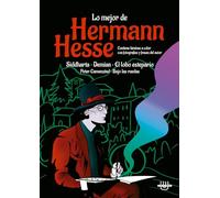Lo mejor de hermann hesse