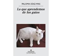 Lo que aprendemos de los gatos: 533 (Narrativas hispánicas)