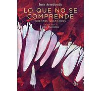 LO QUE NO SE COMPRENDE. CUENTOS ILUSTRADOS (Historias Mexico /libros Niños)