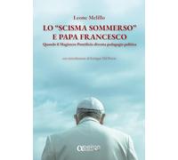 Lo «scisma sommerso» e papa Francesco. Quando il magistero pontificio diventa pedagogia politica