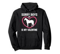 Lo Siento Chicos mi Caballo es mi Amor Ecuestre de San Valentín Sudadera con Capucha