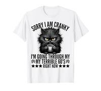 Lo siento, estoy de mal humor, estoy pasando por mi terrible gato divertido de los 60 Camiseta