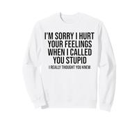Lo Siento, lastimé Tus Sentimientos Cuando te llamé estúpido Sudadera