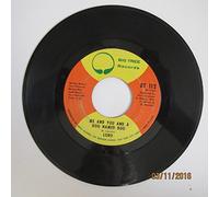 Lobo - Bruce Springsteen 45 RPM Janey, Don't You Lose Heart / I'm Goin' Down
