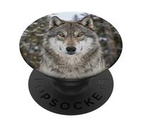 Lobo De Cerca Retrato De Animales Salvajes Escena PopSockets PopGrip Adhesivo