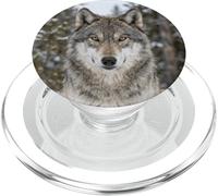 Lobo De Cerca Retrato De Animales Salvajes Escena PopSockets PopGrip para MagSafe