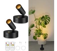 lobolighting Focos inalámbricos para interiores con control remoto, paquete de 2 focos que funcionan con pilas, luces LED negras con temporizador, luz de pared regulable para obras de arte de plantas