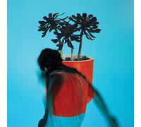 Local Natives - Sunlit Youth