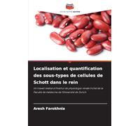 Localisation et quantification des sous-types de cellules de Schott dans le rein