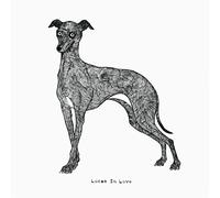 Locas in Love - Use Your Illusion 3 & 4 [Vinilo]