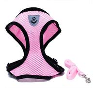 Locisne Tela de malla chaleco para perros Arnés suave ajustable cómodo | El plomo en el pecho del animal doméstico caminar con correa con clip (Rosa, Grande)