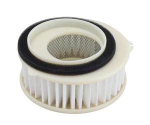 LOCOPOW 4TR-14451-00 Filtro de aire para Yamaha V Star 650 XVS650 Custom 1997-2016 / V Star 650 XVS650 Custom Raven/V Star 650 XVS650 Custom con llamas/XVS650A Classic 1998-2010/ XVS650 AT Silverado