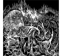 LOCUSTS AND HONEY - TEACH ME TO LIVE THAT I DREAD THE GRAVE AS LITTLE AS MY BED [Vinilo]