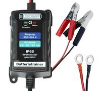 LODCHAMP Cargador de mantenimiento 146303 Battery Trainer, 6 V/12 V-750 mAh, IP65, cargador de batería para coche, moto, cuatriciclo, barco, cuatriciclo, barco, plateado