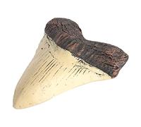 Lodokdre Megalodon Dent Fósil Diente de Gigante Megalodon Diente Resina RéPlica