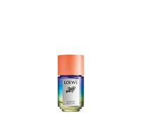Loewe - Paula`S Ibiza Eclectic Perfumes unisex 50 ml unisex