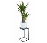 Loft - Soporte para plantas de metal portaflores, 40 cm, color negro