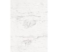 Logbuch-Verlag 25 hojas de papel de carta con aspecto de madera, color blanco y gris, impresión a ambos lados, papel para impresión, manualidades, fotocopias, DIN A4