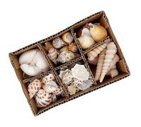 Logbuch-Verlag Caja de conchas de 400 g - conchas reales mezcladas en caja clasificadora, material natural para manualidades y decoración, decoración marítima de verano para mesa y bricolaje