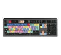 Logickeyboard LkB-PprocC-A2M-Fr Tastatur Usb Azerty Franz?sisch Schwarz (lkB-PprocC-A2M-Fr)