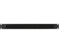 LOGON RAO200BL Accesorio de Bastidor Panel de gestión de Cables - Accesorio de Rack (Panel de gestión de Cables, Negro, Metal, 1U, 48,3 cm (19"), 482 mm)