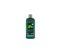Logona Champú Hidratante Aloe Vera 250 ml