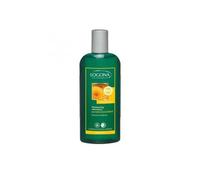 Logona Champú Voluminizador 250 ml