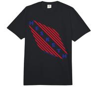 Logotipo de Hesketh Racing, campeón del Mundo, con Rayas limpias y Retro Comfort Colors Adult Heavyweight T-Shirt