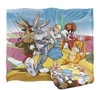 LOGOVISION WB 100: Blanket, 152 x 127 cm Looney Tunes Wizard of Oz Silky Touch Super Soft Throw Blanket