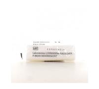 Lohmann &amp Rauscher Velpeaunyl Banda elastica 10cmx4cm