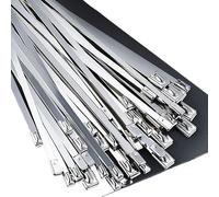 LOKLNEYK Bridas metálicas, Bridas autoblocantes Multiusos for Escape de Acero Inoxidable 304, 4,6/7,9/10/12 mm, 100 Unidades(10 mm*400mm)