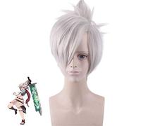 LOL Riven the Blade of Exile Wig Cosplay Costume Silver Grey Short Synthetic Hair Wigs with Chip Ponytail 371