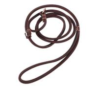 LOLIPPYY Correa de Cuero para Perros con Mango Ergonómico Ligera y Resistente Diseño Antitirones para Entrenamiento y Paseo Seguro de Mascotas Pequeñas y Medianas