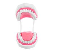 LOLIPPYY Modelo de Boca Ampliado Modelo de Plástico para Prácticas de Higiene Oral y Cepillado Herramienta Educativa Resistente para Estudiantes y Enseñanza Aula