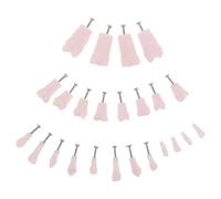 LOLIPPYY Modelo Didáctico 24 Dientes Extraíbles Asegurados por Tornillos Tipodonto Completo para Enseñanza Odontológica Material Duradero para Práctica y Formación Profesional