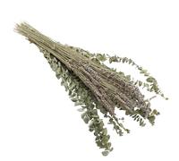 LOLIPPYY Ramo de Flores Secas 12 Tallos de Hoja de Eucalipto y 40g de Seca, Decoración para Hogar y Oficina, Adorno para Jarrones y Centros de Mesa, sin Necesidad de Cuidados
