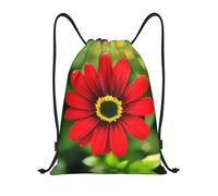 LOLOBFZL romántico corazón rojo ligero cordón correa bolsillo mochila deportiva mochila diaria plegable cordón mochila, Flor roja, S, Mochilas