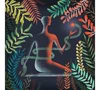 Loma - Don´T Shy Away