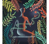 Loma Don't Shy Away (Vinyl) 12" Album Coloured Vinyl